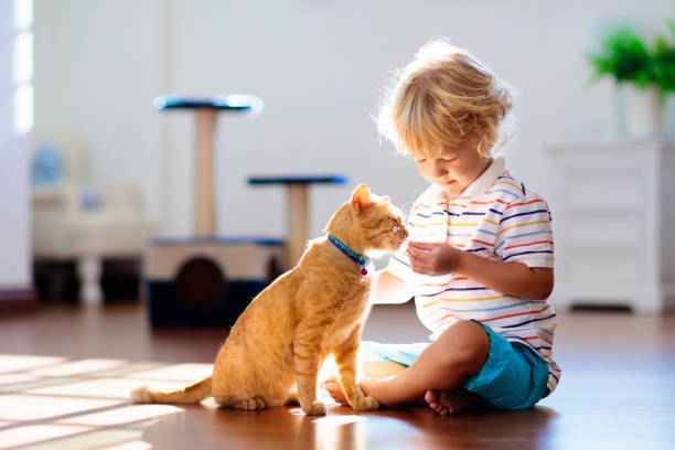 istock Child playing with cat at home. Kids and pets. 1696092595