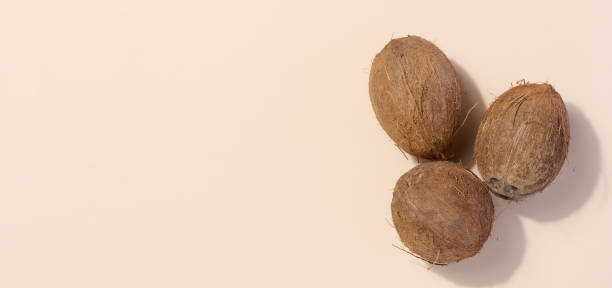 istock Whole coconut on beige background, top view 1696095253