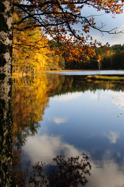 istock Colorful Autumn Forest Reflecting in Lake 1696101747