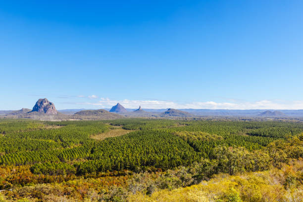 istock Glass House Mountains in Queensland Australia 1696101768