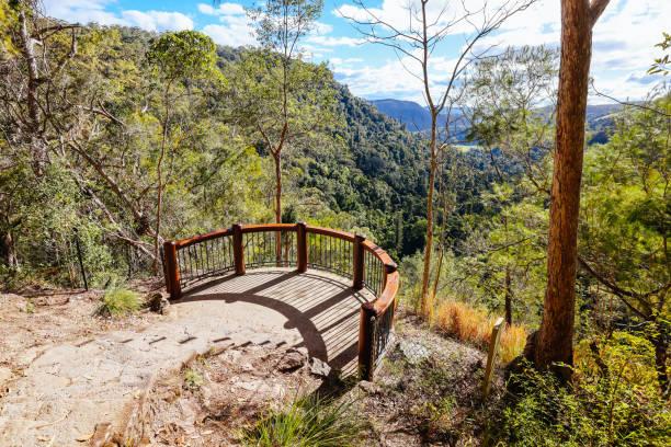istock Kondalilla National Park in Queensland Australia 1696101793