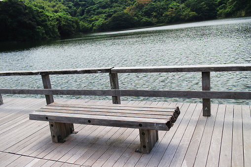 bench in front of the lake