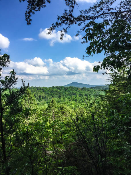 istock Brasstown Bald in the Distance 1696110924