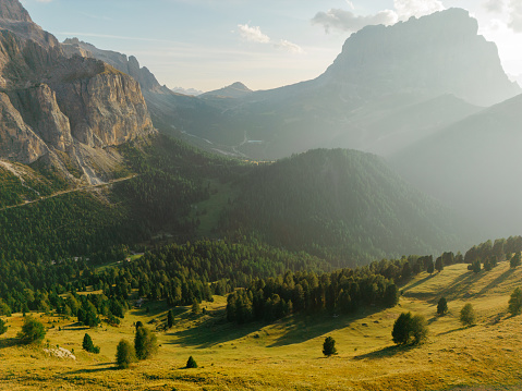 Aerial view of pinetree  forest at sunset on the background of mountains in Dolomites in summer
