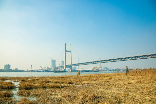 istock Shanghai Pudong New Area-Minpu Bridge 1696158308