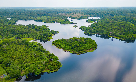 Scenic aerial view of rainforest river jungle in Amazonas Brazil in summer