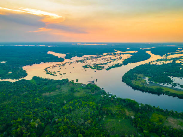 malowniczy widok z lotu ptaka na dżunglę wody lasu deszczowego w amazonas w brazylii - forest preserve zdjęcia i obrazy z banku zdjęć