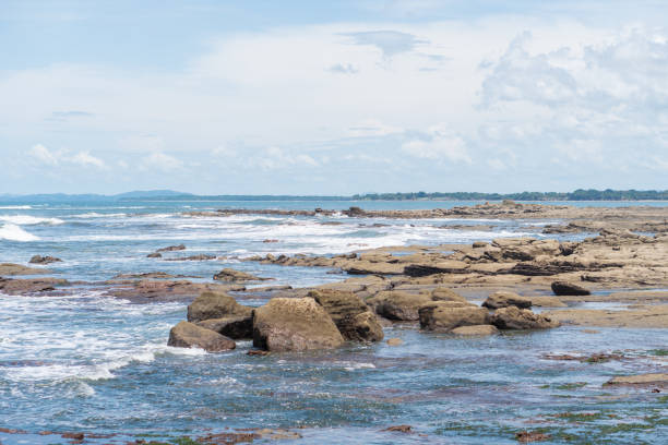 istock Walk along the tropical beach 1696234088