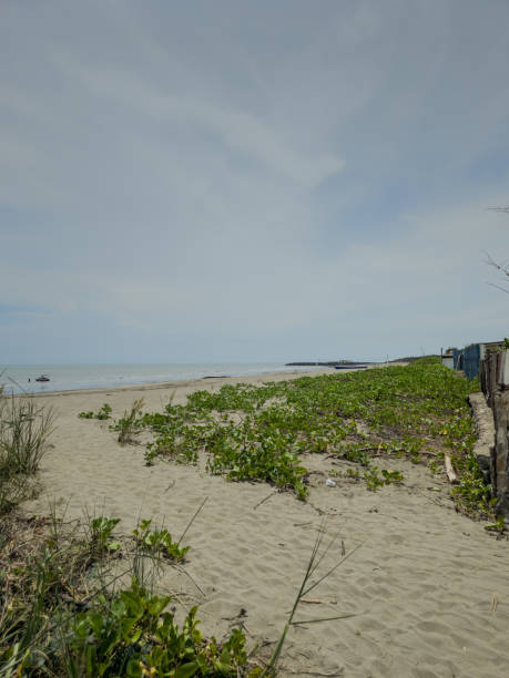 istock Walk along the tropical beach 1696234188