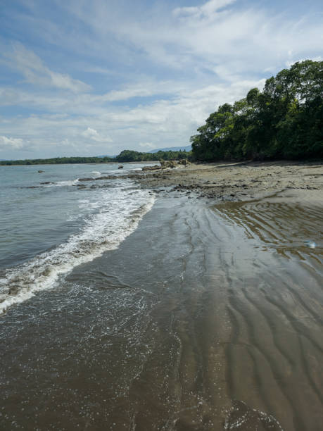 istock Walk along the tropical beach 1696234324