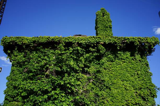 istock The Westchester Avenue Railroad Station 1696240873