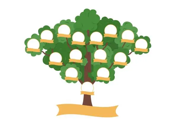 Vector illustration of Family Tree template. Genealogical tree with blank spaces for members of family. Relationship between child, parents and grandparents. Heritage vector illustration.