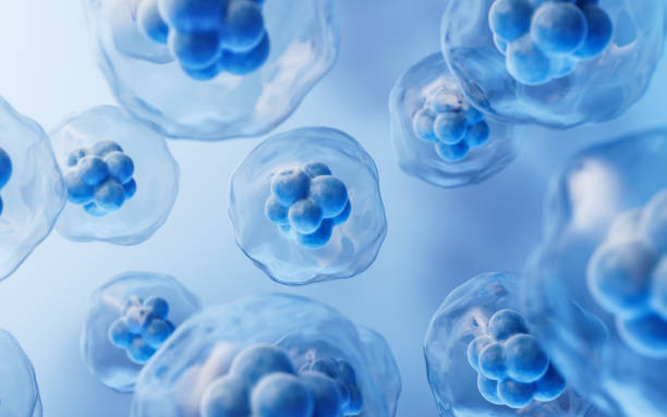 istock Transparent cell with biotechnology and cosmetic concept, 3d rendering. 1696255450