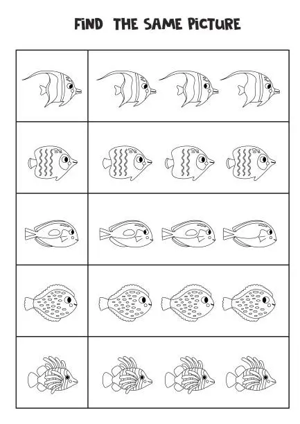 Vector illustration of Find two the same sea fish. Black and white worksheet.