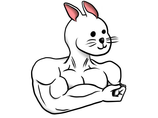 illustrazioni stock, clip art, cartoni animati e icone di tendenza di mascular di coniglio - mascular