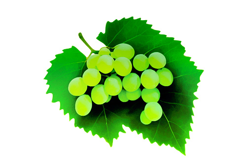 grapes with leaves isolated on white