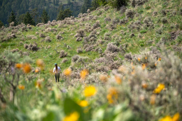 istock Woman spending time in nature 1696368224