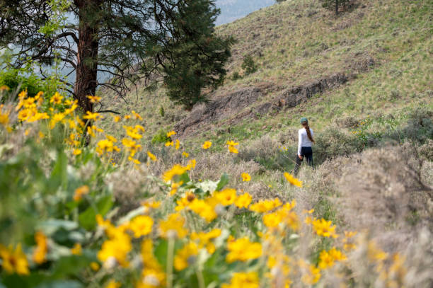 istock Woman spending time in nature 1696368804