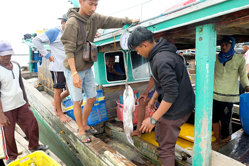 Lampung, Indonesia, October 07 2022: Fishermen or crew members sort fish in a basket that has just been caught and will be weighed.