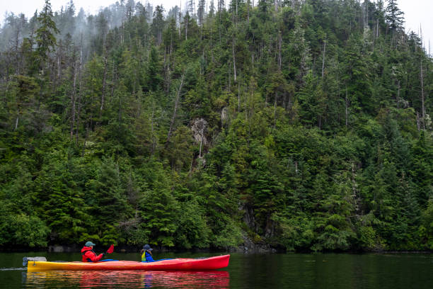 istock Family sea kayaking 1696406593