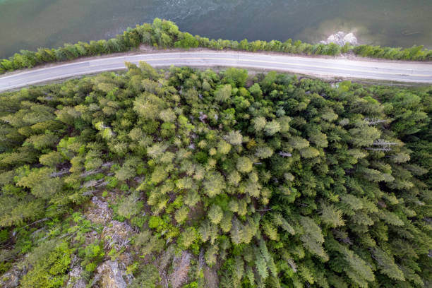 istock Top down view of a lakeside rural road 1696408909