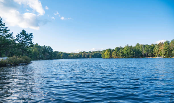 istock Lake view from a boat, fall golden colors landscape, copy space backgrounds image, natural fall landscapes 1696478577