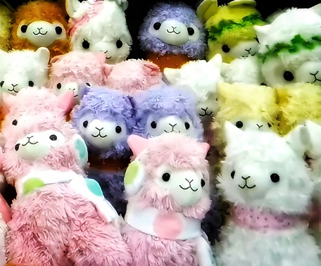 A bunch of pastel colored alpacas