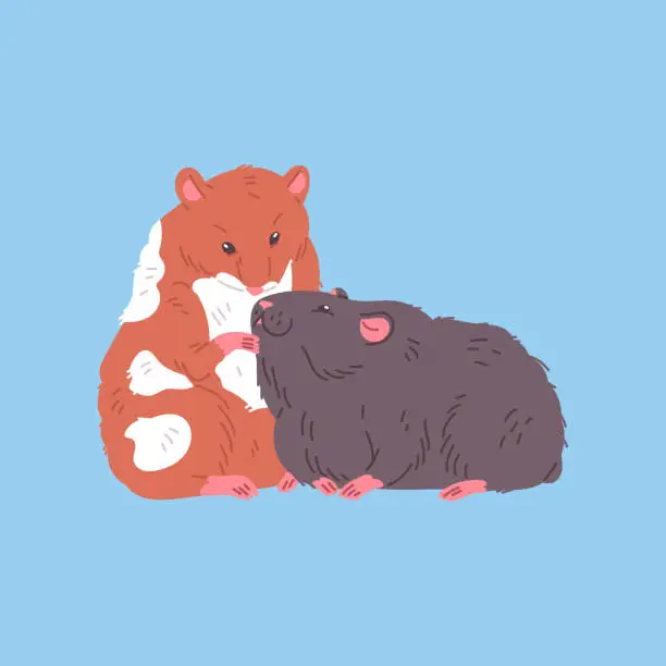 Vector illustration of Cute colorful hamsters together flat style, vector illustration