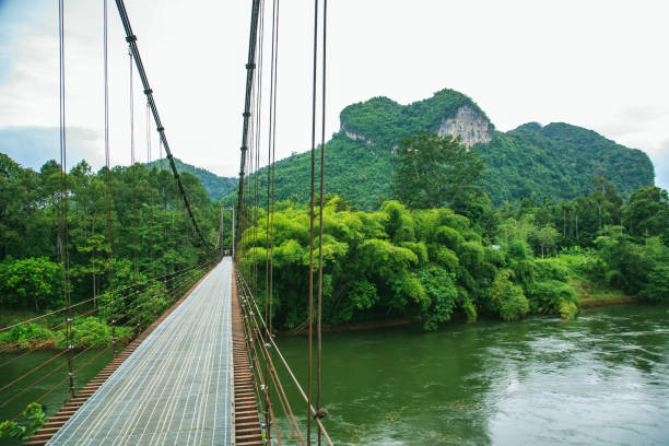 istock Suspension bridge over the river in the countryside going into perspective. 1696592373