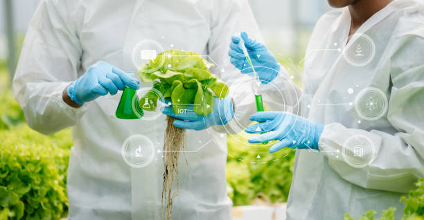 istock Researcher in white uniform are checking with ph strips in hydroponic farm and pH level scale graphic, science laboratory greenhouse concept. 1696593925