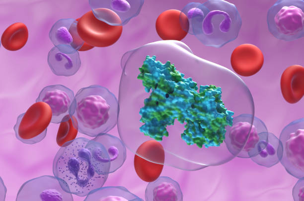 istock Creatine Kinase brain type enzyme (CK-BB) in the blood flow - closeup view 3d illustration 1696597168