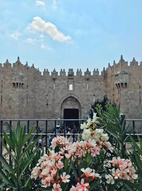 дамасские ворота - jerusalem old city israel wall castle стоковые фото и изображения