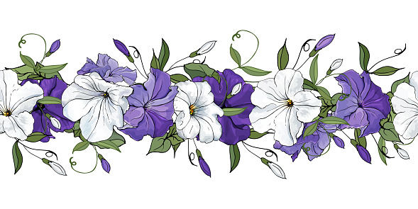 Floral seamless border with flowers petunia.