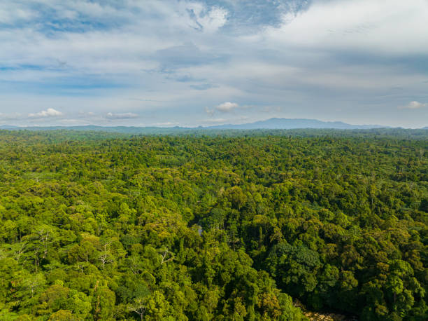 istock Tropical mountain in the Philippines. 1696625125