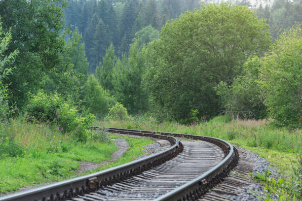 Free Stock Photo of Train Track Running Through Forest | Download Free ...