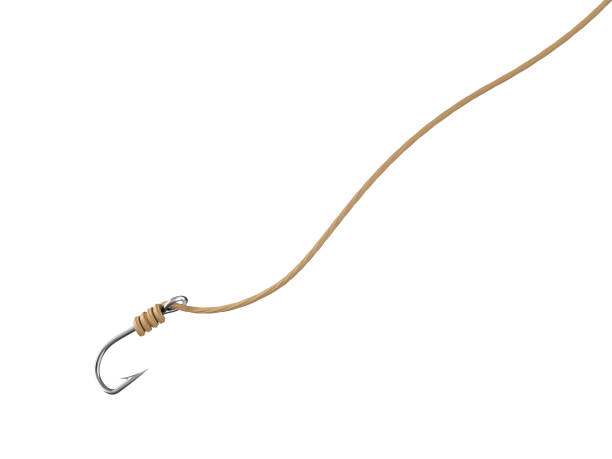 istock Scam concept. Fishing hook on the rope. 3d illustration 1696662903