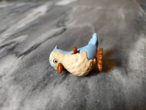 A sparrow toy with which children play was positioned on the floor