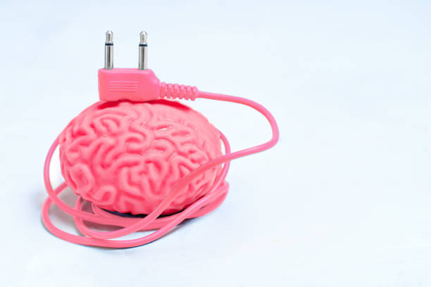 cerebro humano con un cable de alimentación rosa - brain network connection plug intelligence artificial model fotografías e imágenes de stock