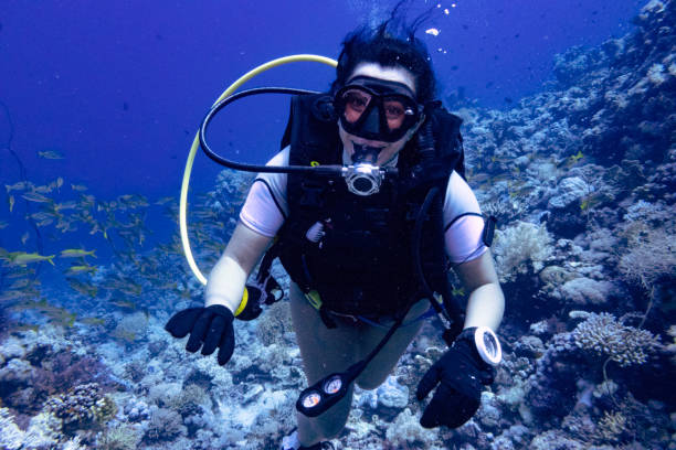 istock Lady diver in the Red Sea, Yanbu, Saudi Arabia 1696700549