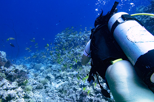 Lady diver in the Red Sea, Yanbu, Saudi Arabia. In the background a gorge in the reefs