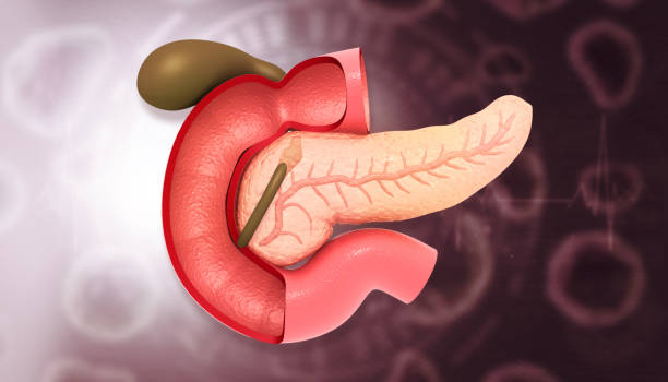 istock Human pancreas anatomy on scientific background 1696720400