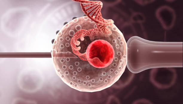 istock In vitro fertilization with dna strand 1696720454