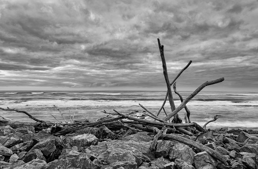 Driftwood washed up on the waterfront in Hokitika on New Zealand’s South Island
