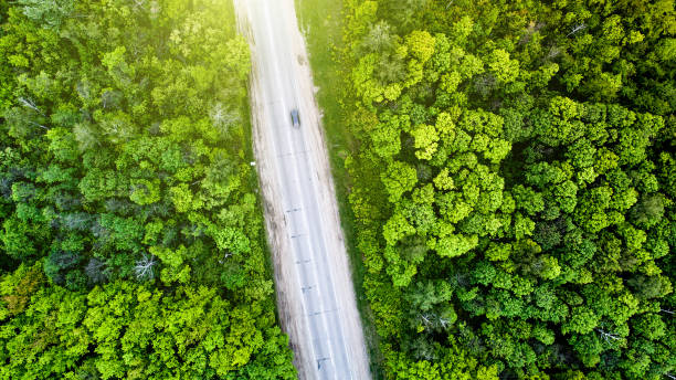 istock aerial shoot forest and road 1696732227