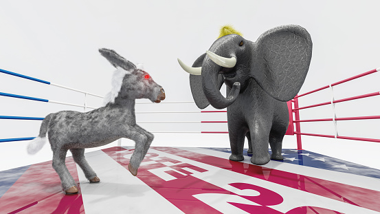 Republican elephant and democratic donkey in the boxing ring.