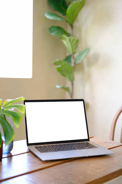 istock Laptop computer with white empty screen and monstera tropical palm leaves in a glass vase on wooden table 1696749508