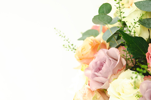Flowers and roses on a white background.