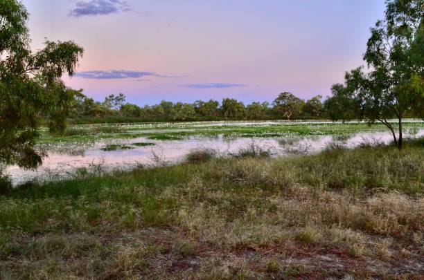 Beautiful sky at night somewhere in Queensland, Australia