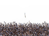 High angle view of a crowd with one man standing in front of the rest of the group.