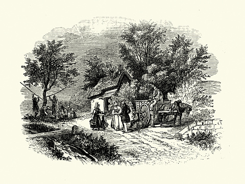Vintage illustration of Apple collecting in Normandy, France, Harvesting in an orchard, History, 1850s 19th Century